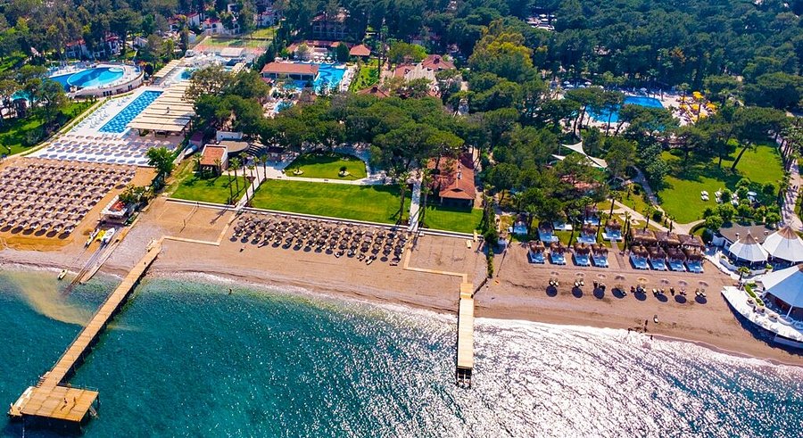 Champion Holiday Village Transfer