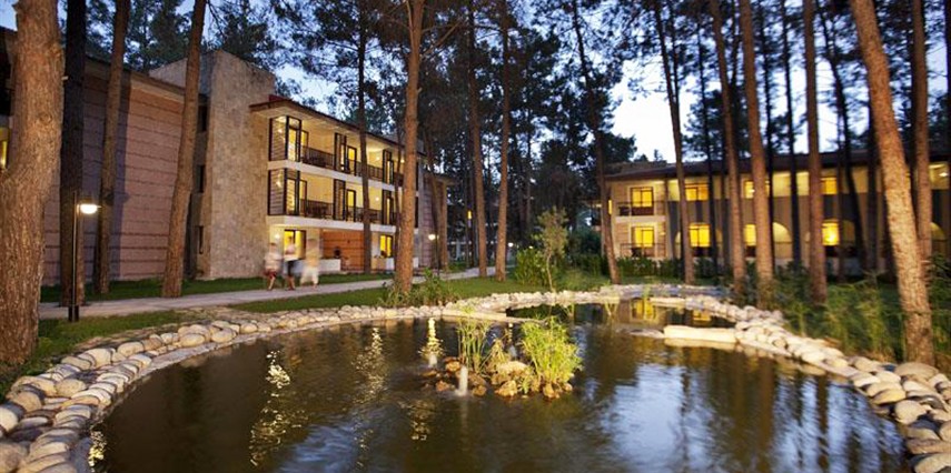 Champion Holiday Village Transfer