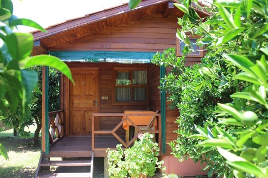 Plaj Otel Transfer Antalya