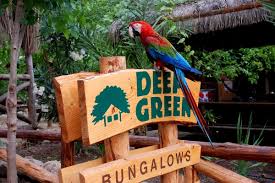 Deep Green Bungalows Transfer Antalya