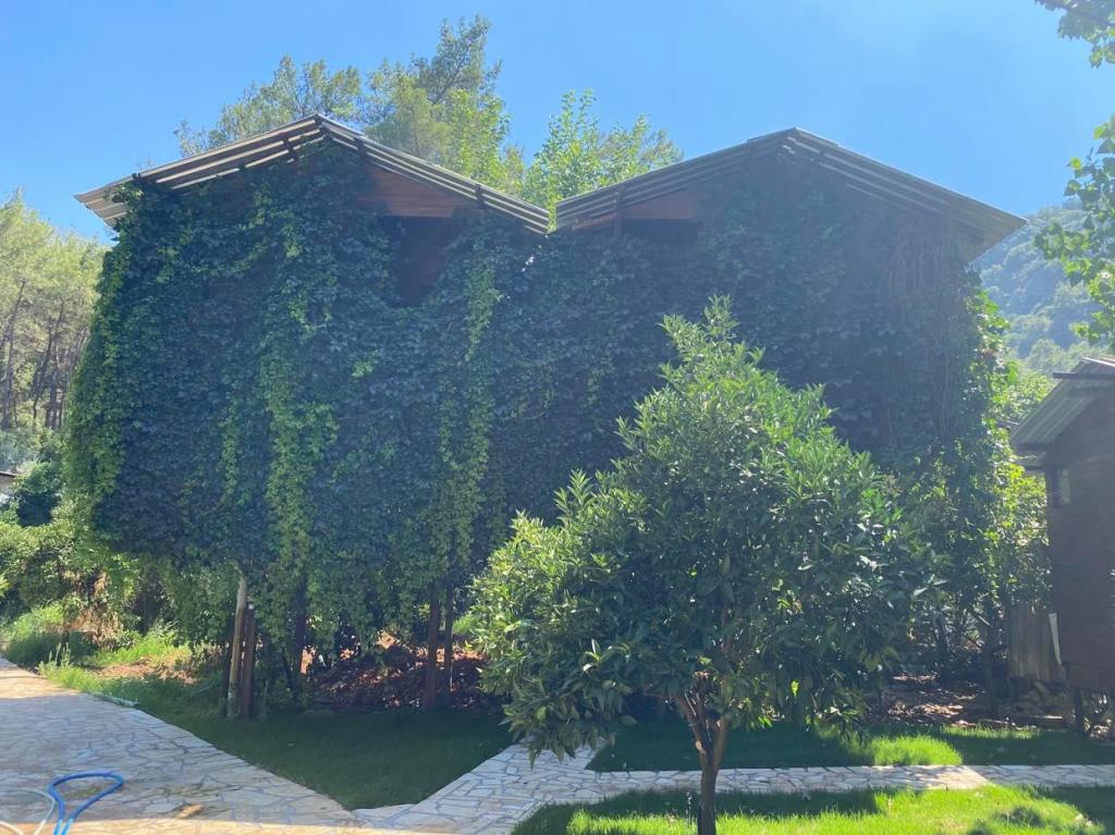 Olympos Camlik Pansiyon Transfer Antalya