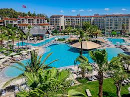 Arum Barut Collection Transfer