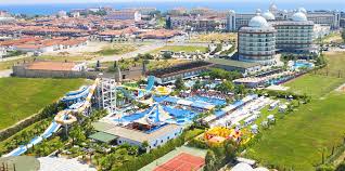 Dream World Aqua Transfer