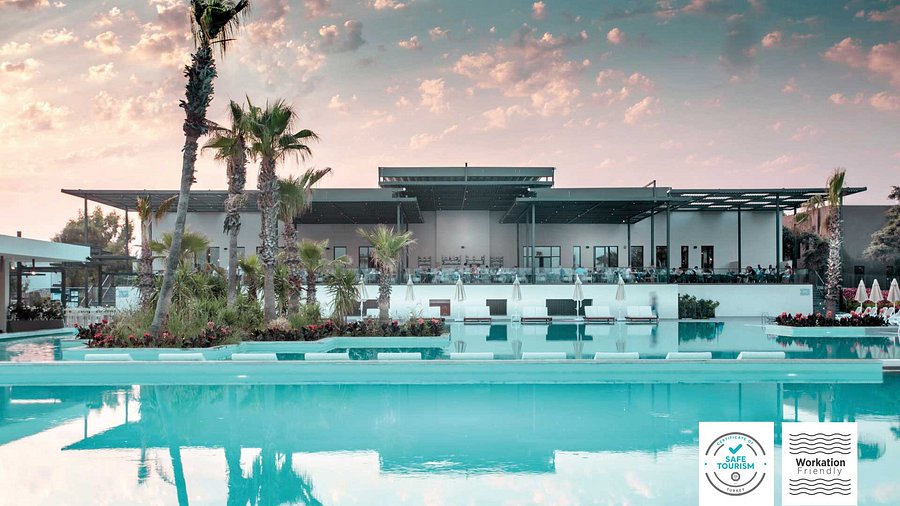 Paloma Orenda Transfer