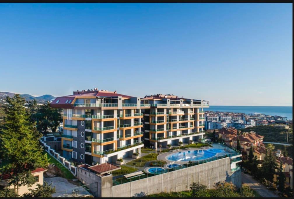 Kestel Armani by Memoshome Transfer